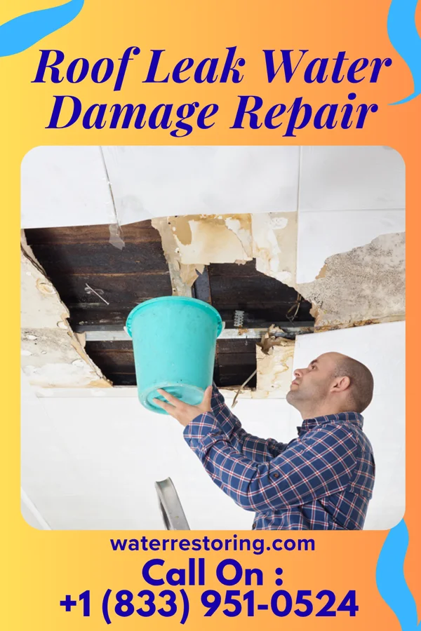 Roof Leak Water Damage Repair in Collierville, TN